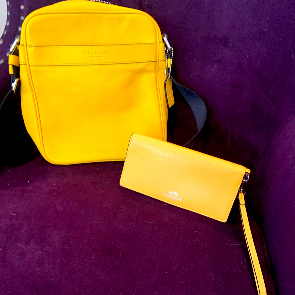 Yellow Coach Set